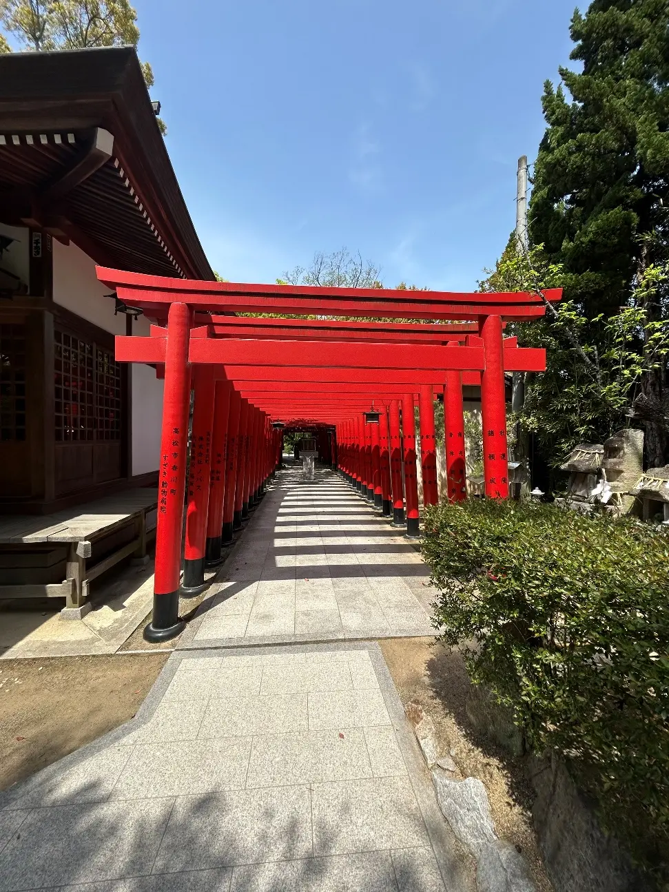 連なる鳥居