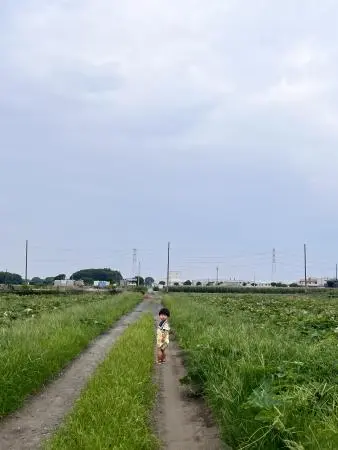 畑の道