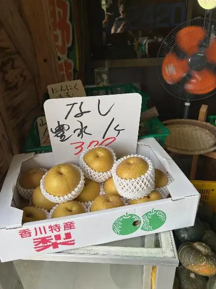 野菜の無人販売所4