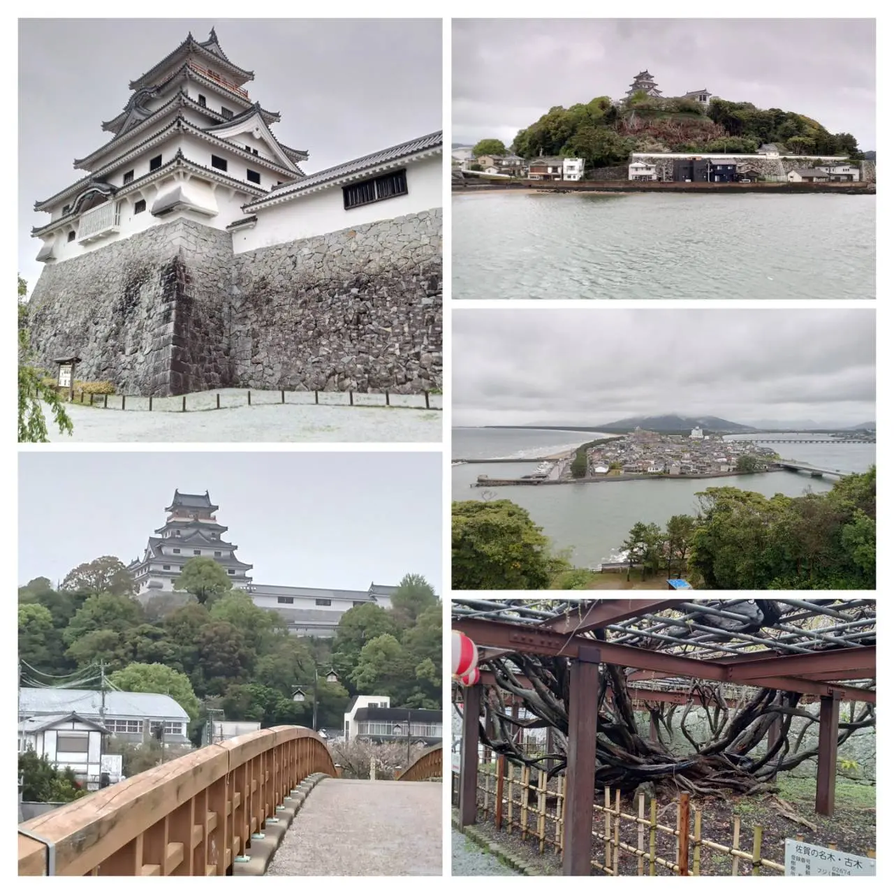 唐津城