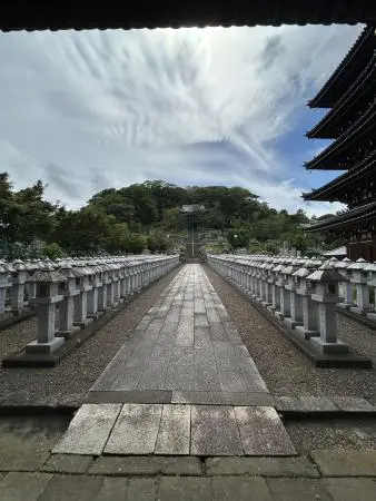 境内