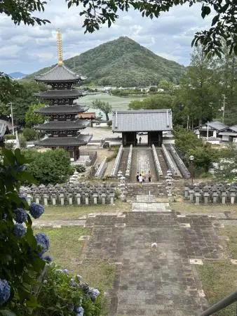 全景