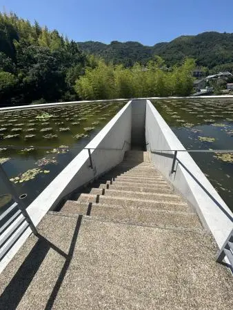 蓮池